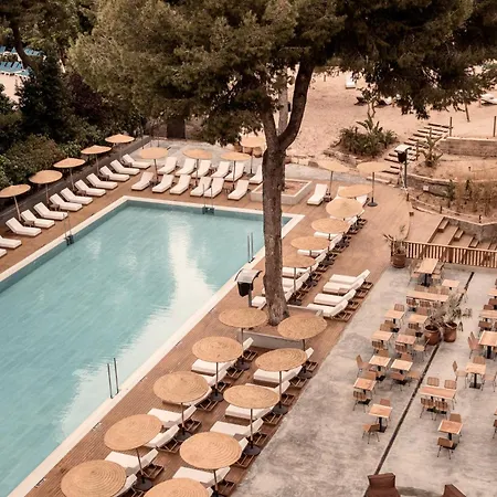 Caramelo Palma (adults Only)