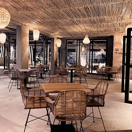 Caramelo Palma (adults Only)