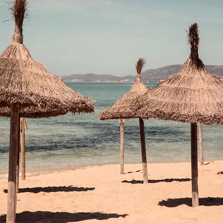 Caramelo Palma (adults Only) 플라야 데 팔마