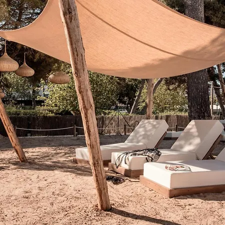 Caramelo Palma (adults Only)