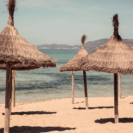 Caramelo Palma (adults Only) 3*