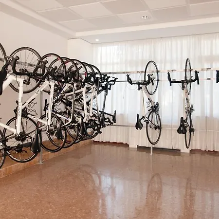 Caramelo Palma (adults Only)