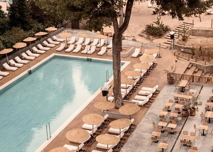 Caramelo Palma (adults Only)