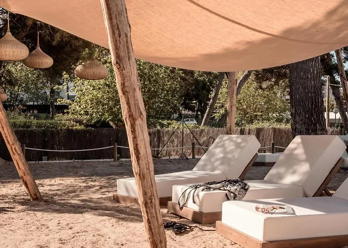 Caramelo Palma (adults Only)