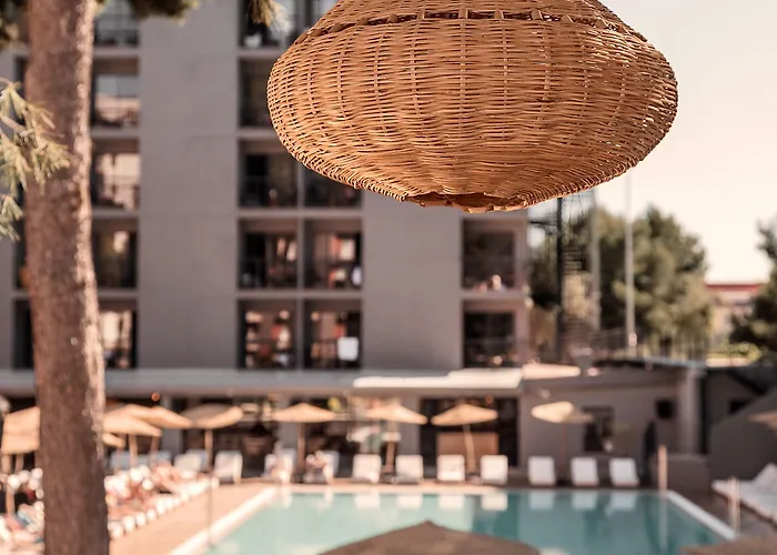 Caramelo Palma (adults Only)